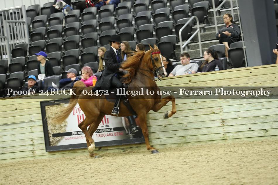 Proof 24BUCK_04472