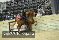 24BUCK_04472 proof