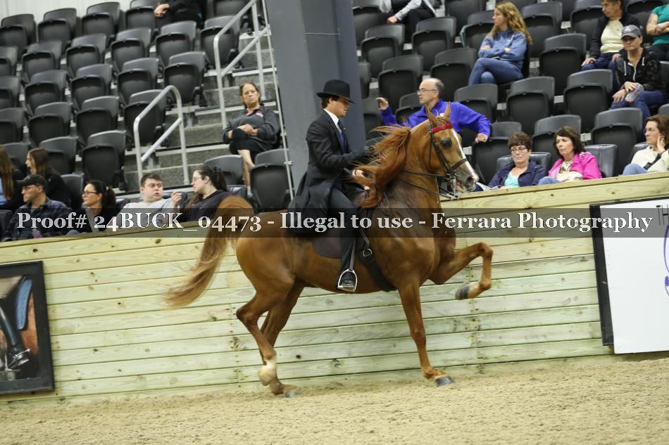 Proof 24BUCK_04473