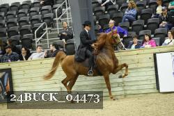 24BUCK_04473 proof
