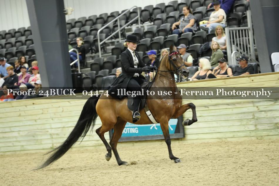Proof 24BUCK_04474
