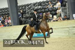 24BUCK_04474 proof