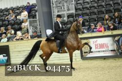 24BUCK_04475 proof