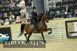 24BUCK_04476 proof