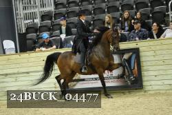 24BUCK_04477 proof