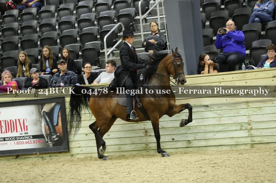 Proof 24BUCK_04478