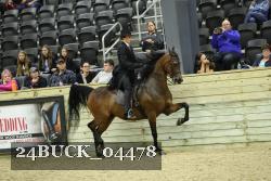 24BUCK_04478 proof