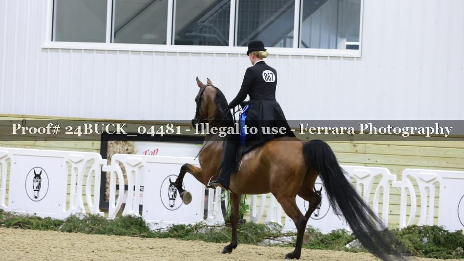 Proof 24BUCK_04481