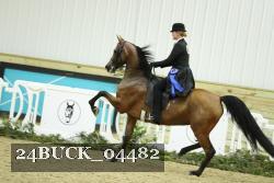 24BUCK_04482 proof