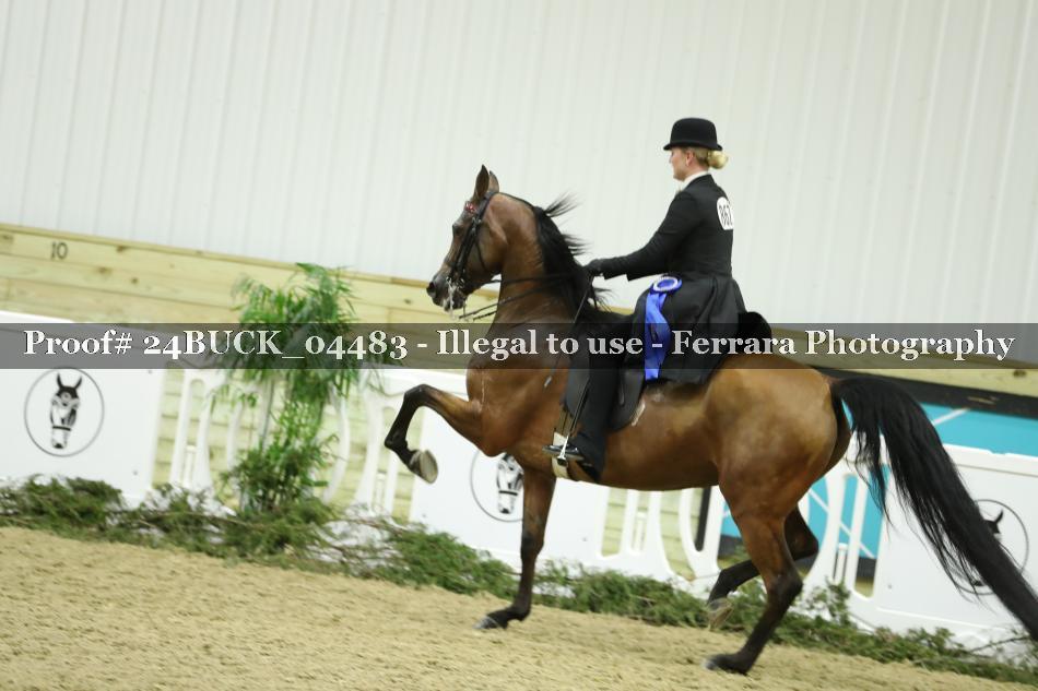 Proof 24BUCK_04483