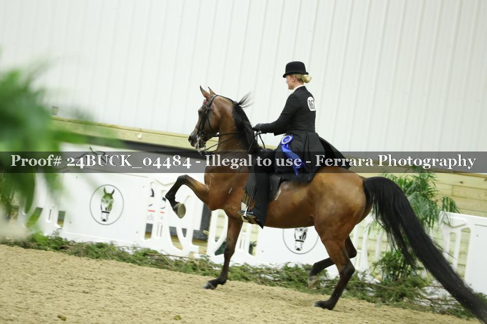 Proof 24BUCK_04484