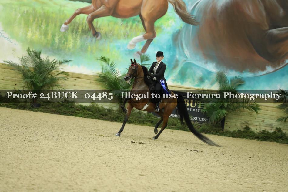 Proof 24BUCK_04485