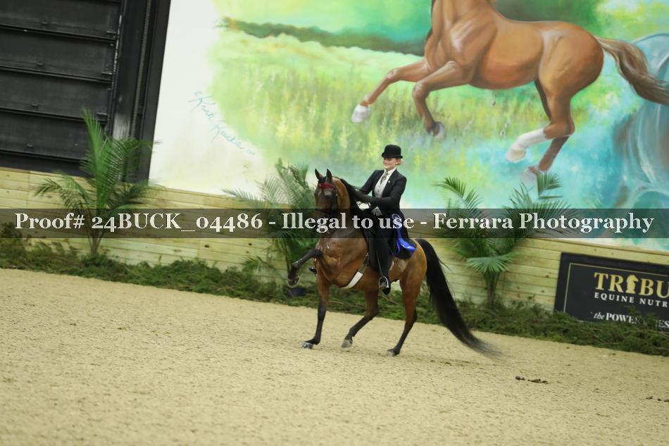 Proof 24BUCK_04486