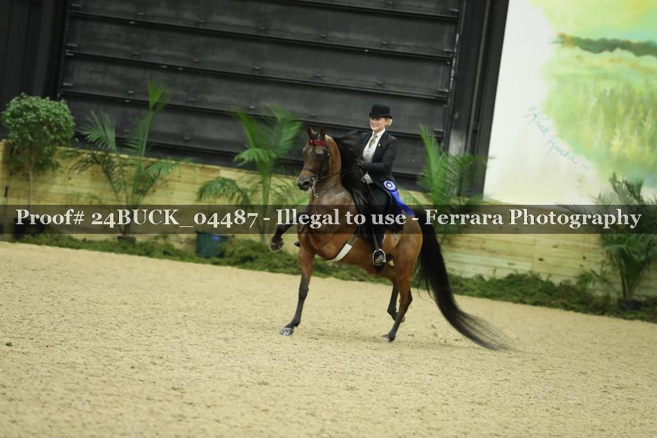 Proof 24BUCK_04487