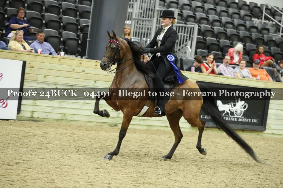 Proof 24BUCK_04491