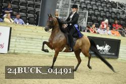 24BUCK_04491 proof