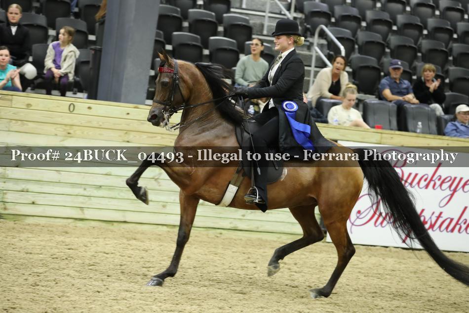 Proof 24BUCK_04493