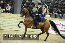 24BUCK_04493 proof