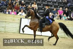 24BUCK_04494 proof