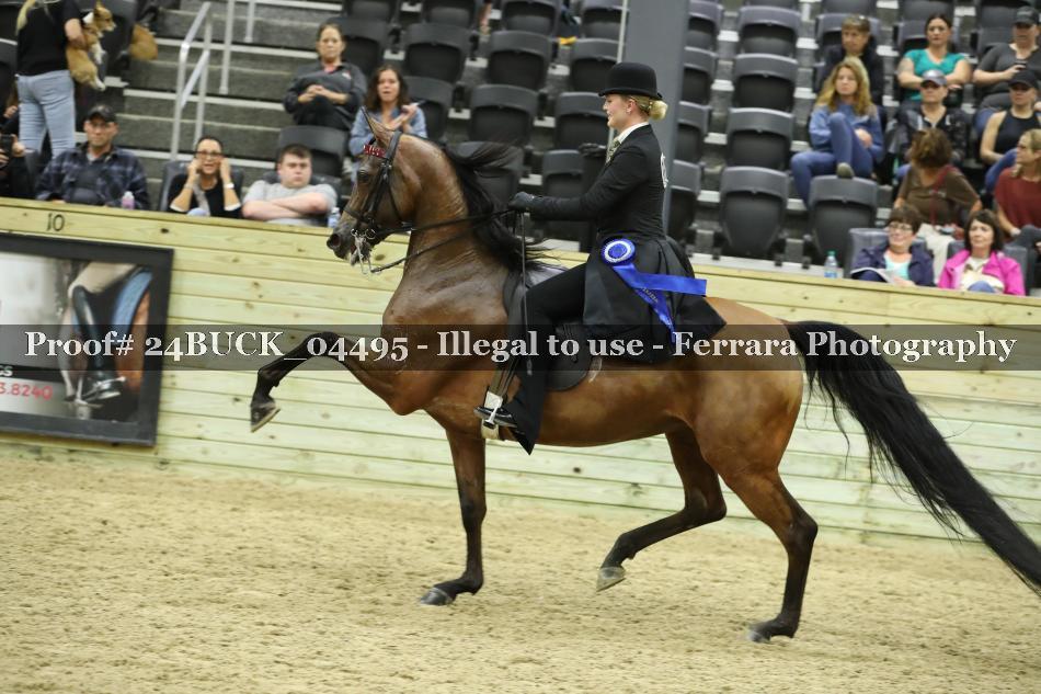 Proof 24BUCK_04495