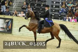 24BUCK_04495 proof