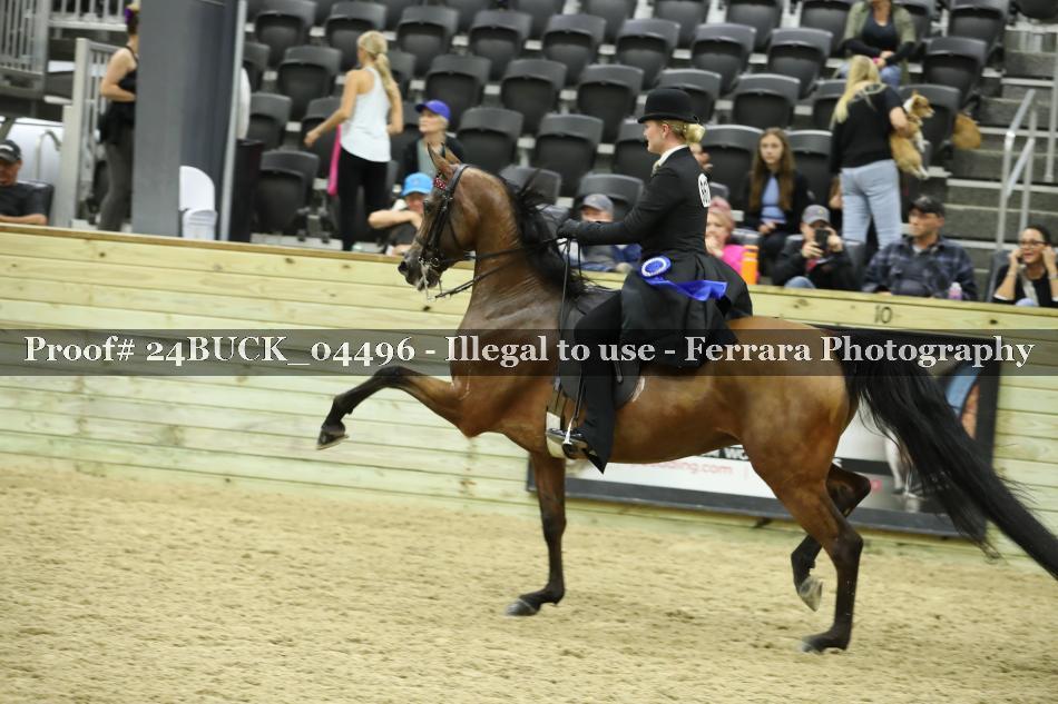 Proof 24BUCK_04496