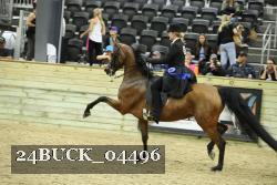 24BUCK_04496 proof