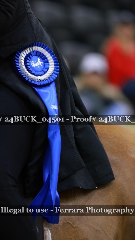 Proof 24BUCK_04501