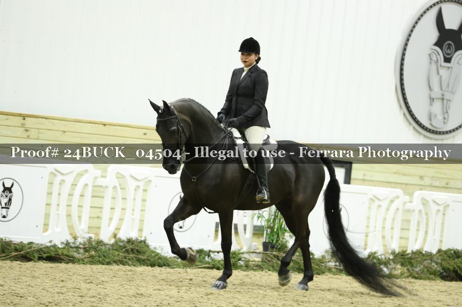Proof 24BUCK_04504
