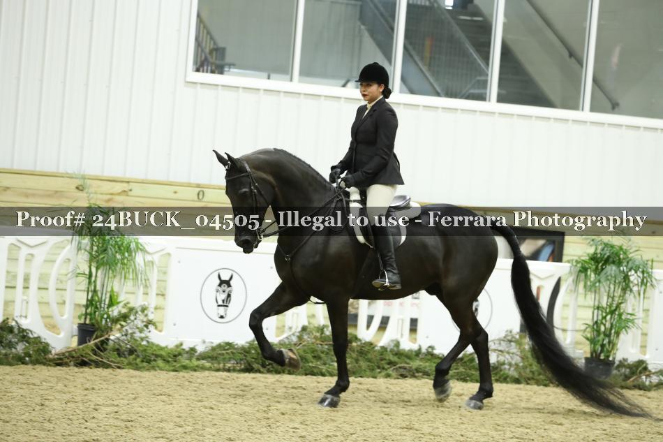 Proof 24BUCK_04505