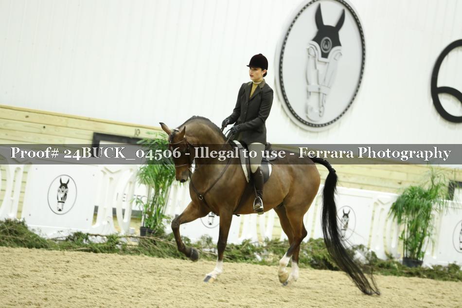Proof 24BUCK_04506
