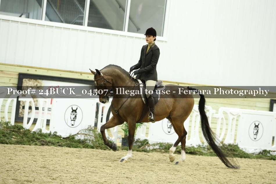 Proof 24BUCK_04507