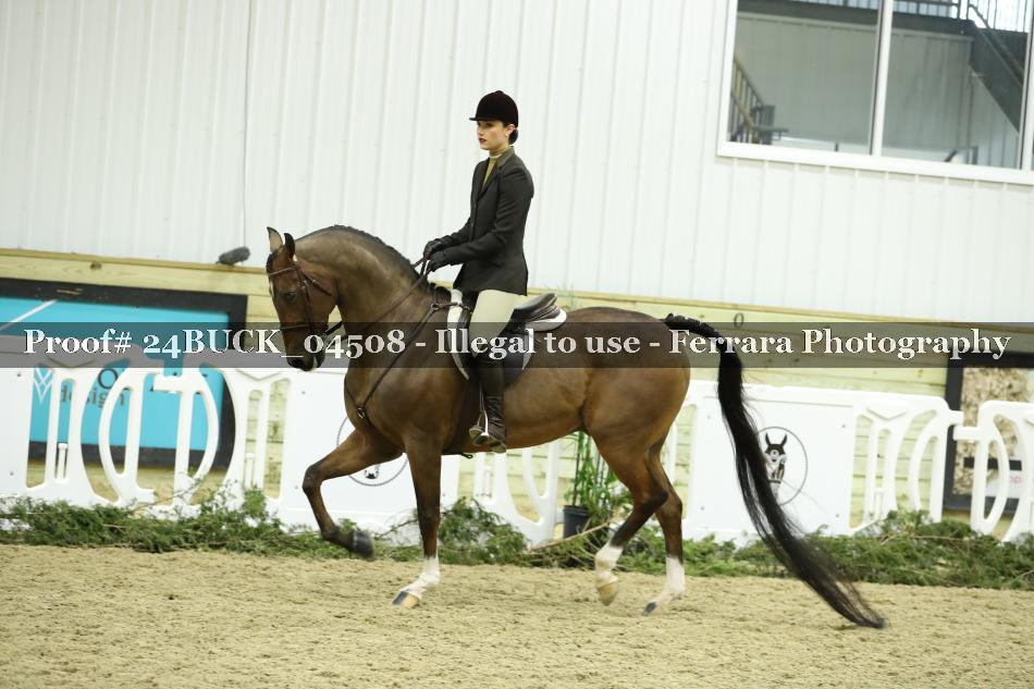 Proof 24BUCK_04508