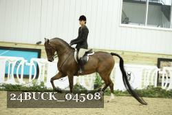 24BUCK_04508 proof