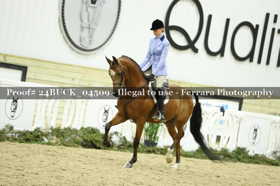 Proof 24BUCK_04509