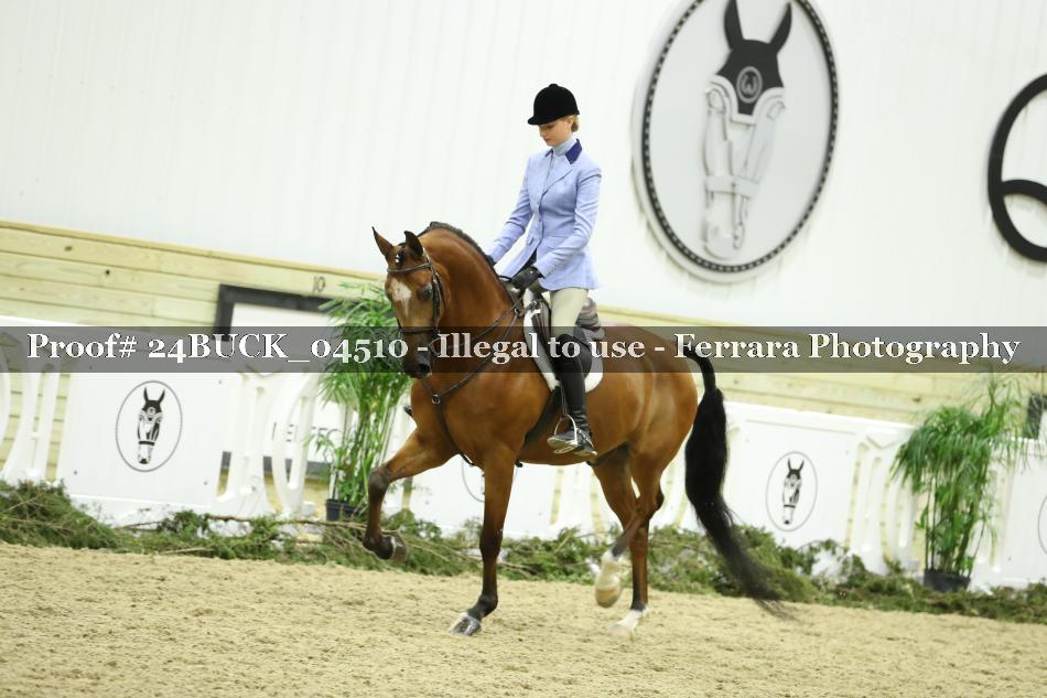 Proof 24BUCK_04510