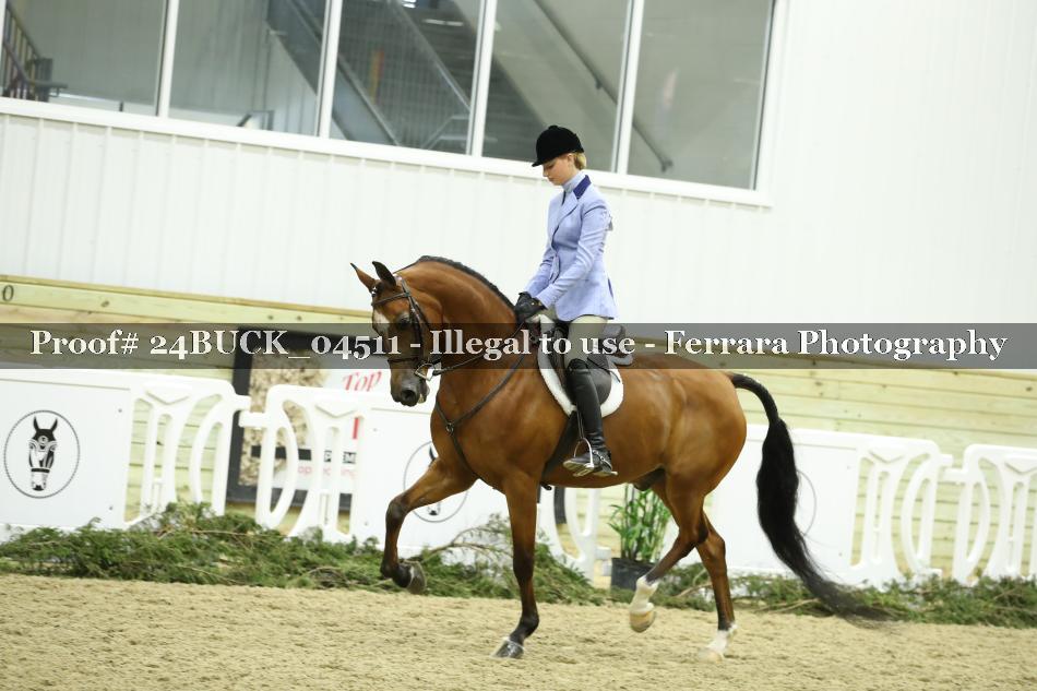 Proof 24BUCK_04511