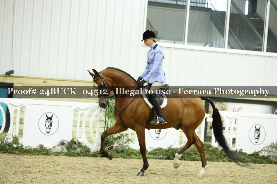 Proof 24BUCK_04512