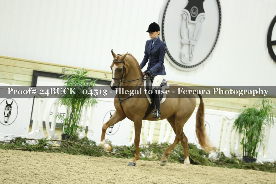 Proof 24BUCK_04513