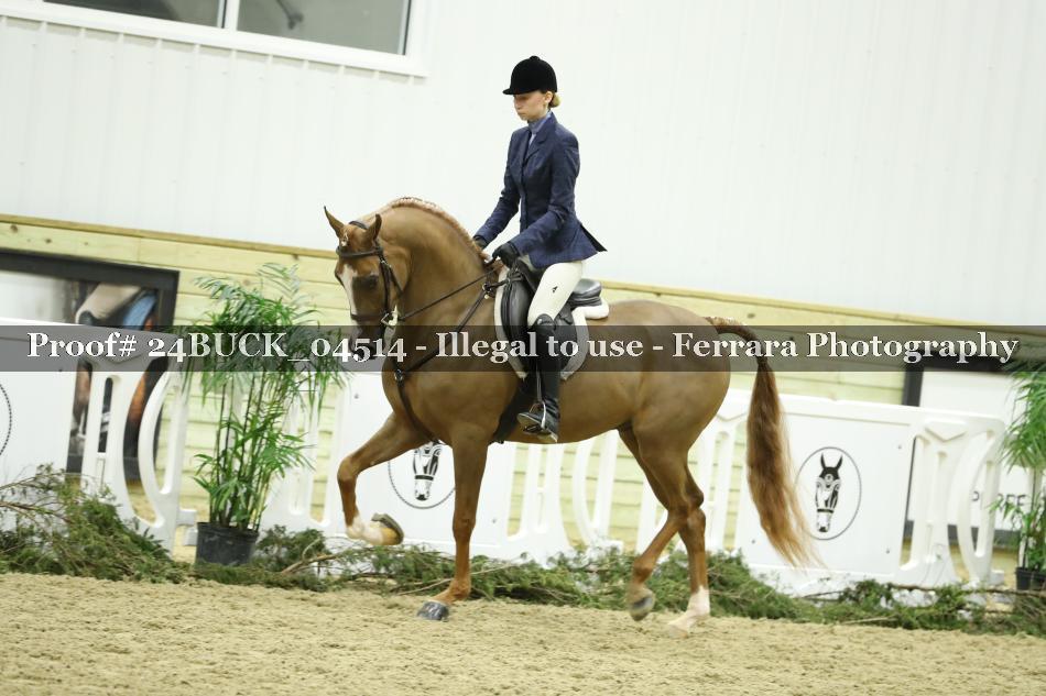 Proof 24BUCK_04514
