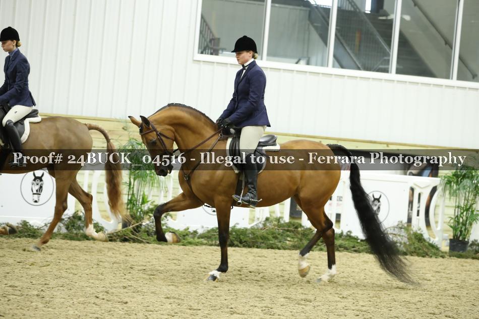 Proof 24BUCK_04516