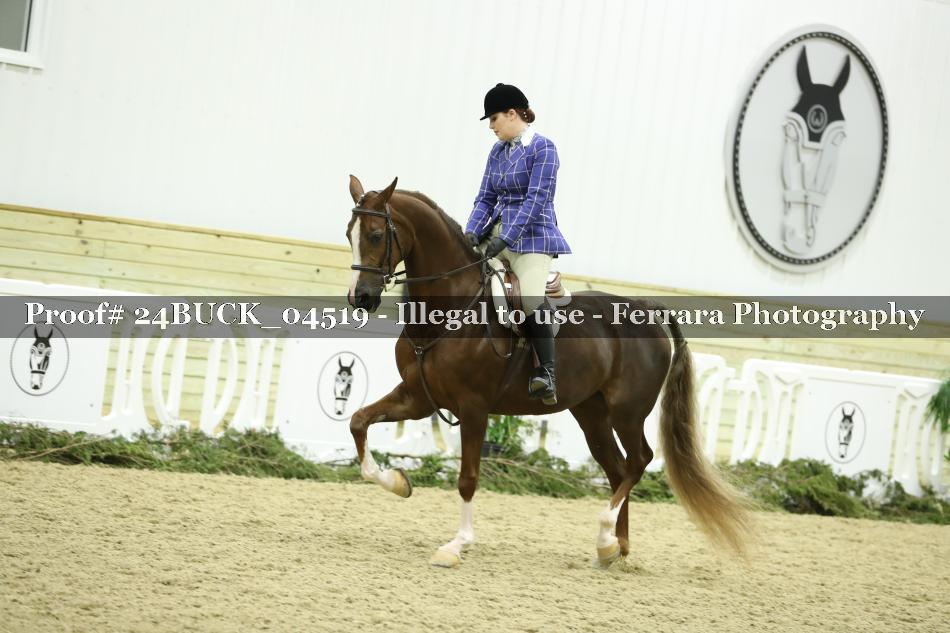 Proof 24BUCK_04519