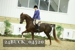 24BUCK_04520 proof