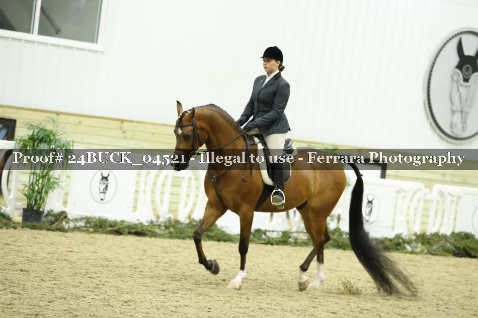 Proof 24BUCK_04521