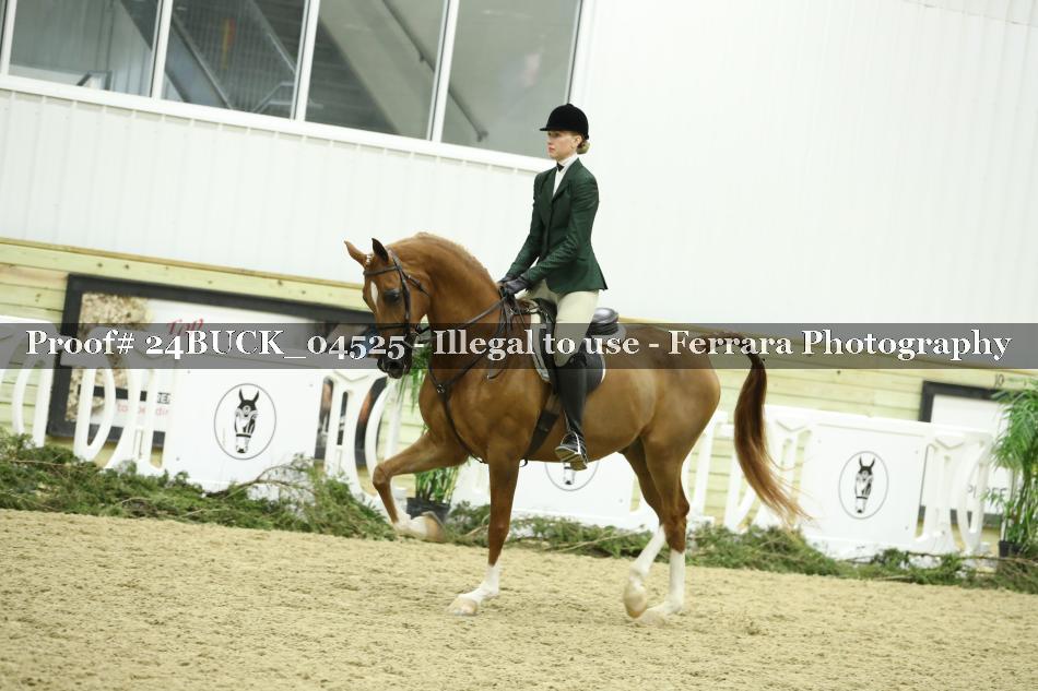Proof 24BUCK_04525