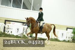 24BUCK_04525 proof