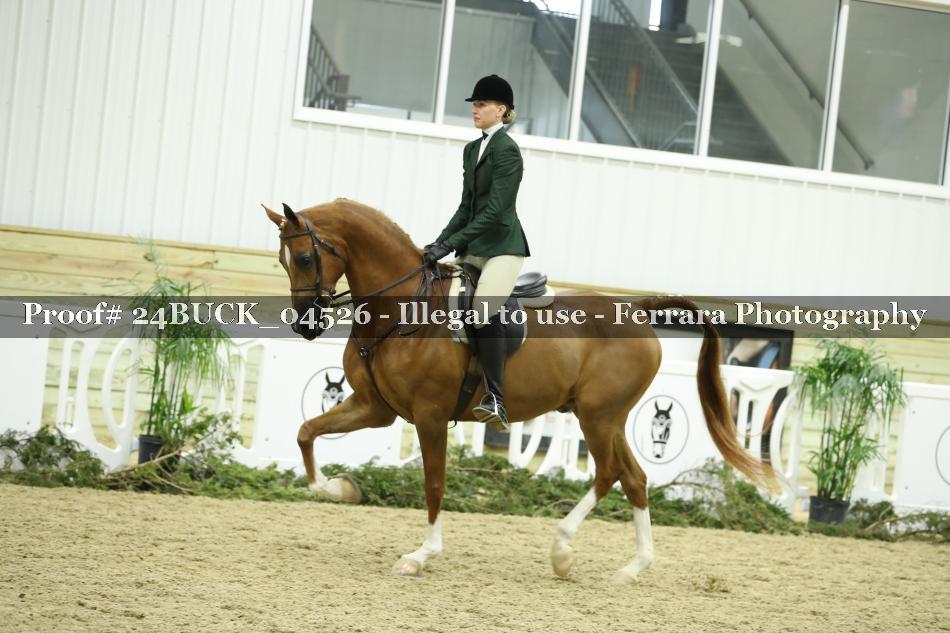 Proof 24BUCK_04526