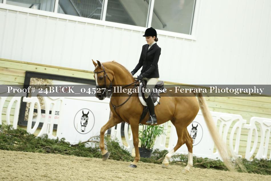 Proof 24BUCK_04527