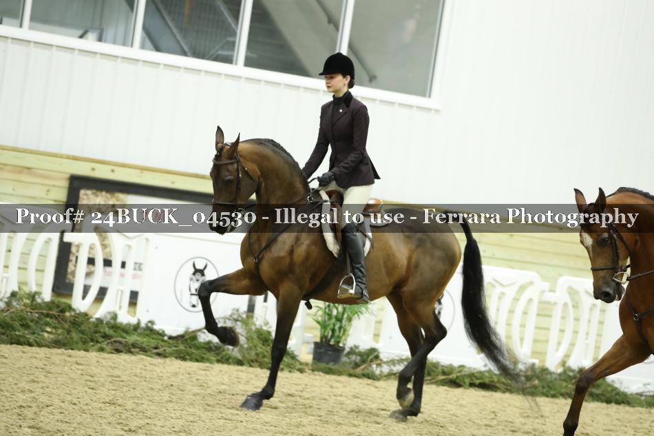 Proof 24BUCK_04530