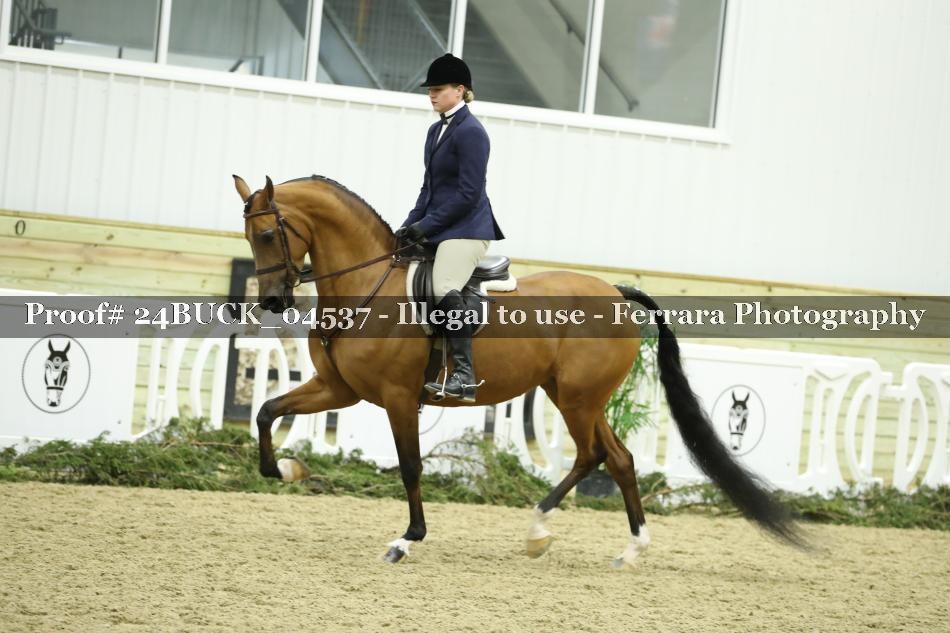 Proof 24BUCK_04537